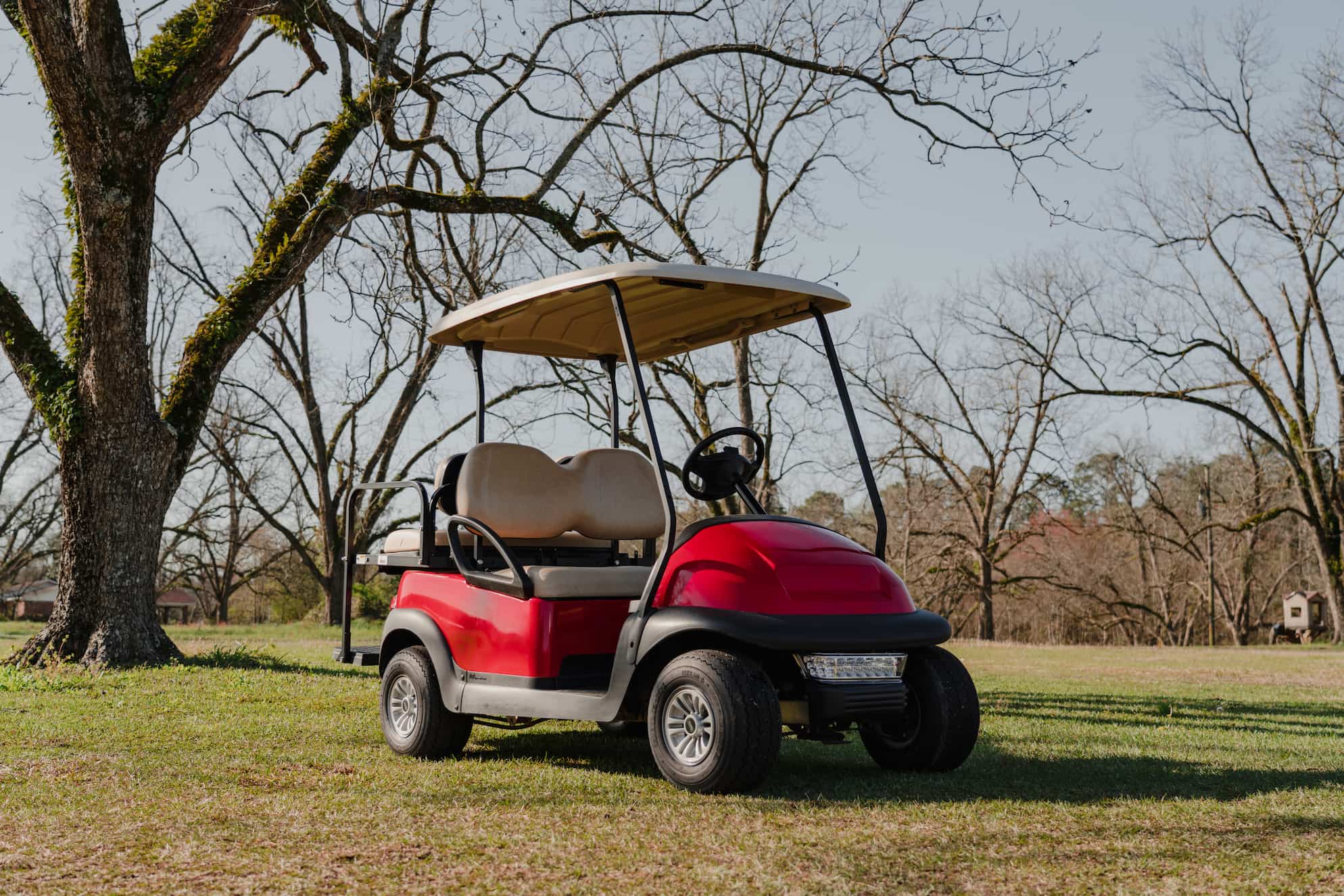 Golf Carts Statesboro Golf Carts